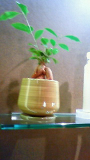 201007031909000.jpg